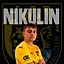 David Nikulin