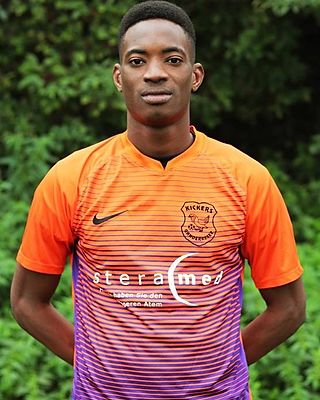 Cheick Fantamady Guitteye