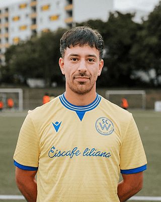 Sebastian da Costa Berocay