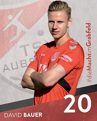 David Bauer