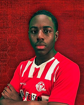 Ivan Dibi