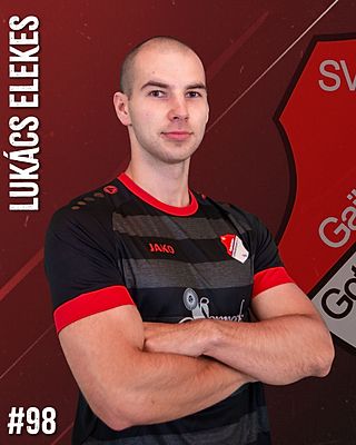 Lukacs-Roland Elekes