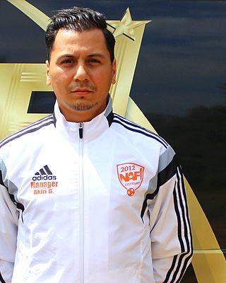 Akin Gümüssu