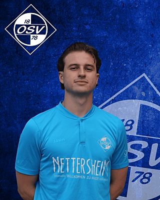 Theodor Domenico Pollino