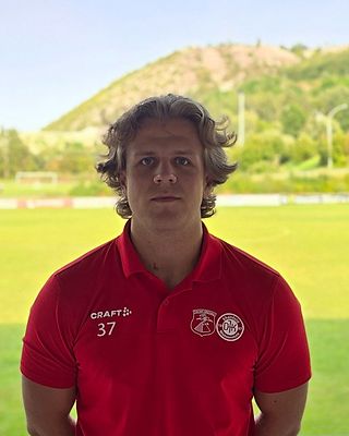 Luis Posset