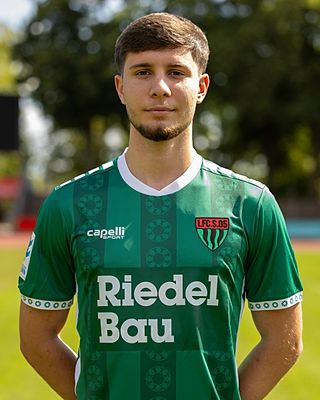 Altin Ibisi