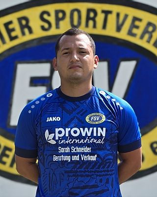 Andres Alejandro Pena Castillo