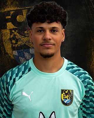 Dominik Plata