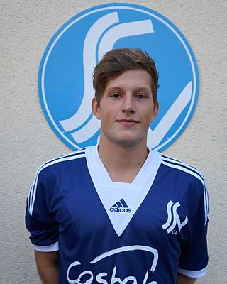 Harald Fischermann