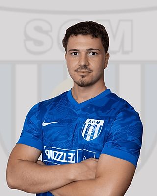 Stefan Radovic