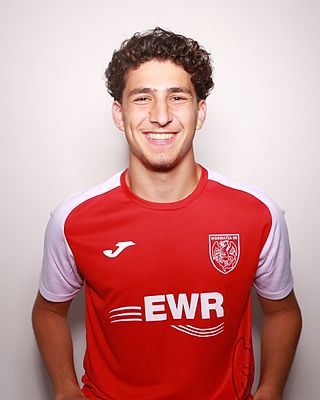 Raman Toprak