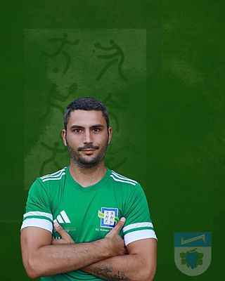 Alexander Alves-Silva