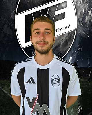 Timo Schaub