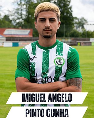 Miguel Angelo Pinto Cunha