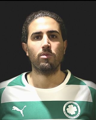 Mahmoud Miadi
