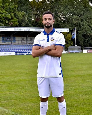 Meriton Vrenezi