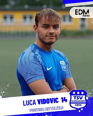Luka Vidovic