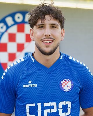 Luka Frano Beric