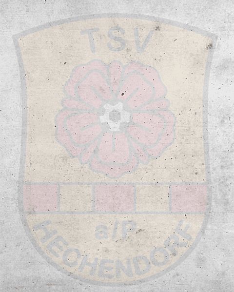 Foto: TSV Hechendorf