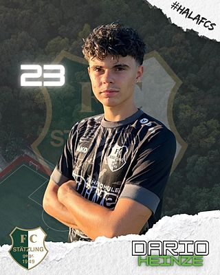 Dario Heinze