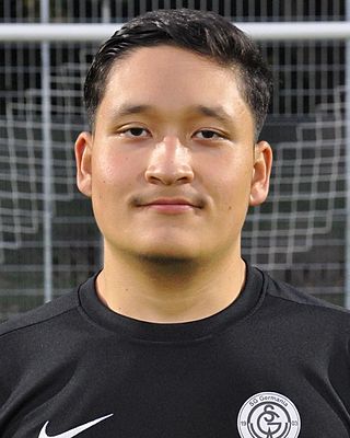 Amir Hossain Hosseini