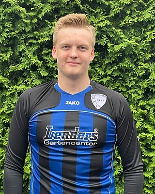 Niklas Nieskes