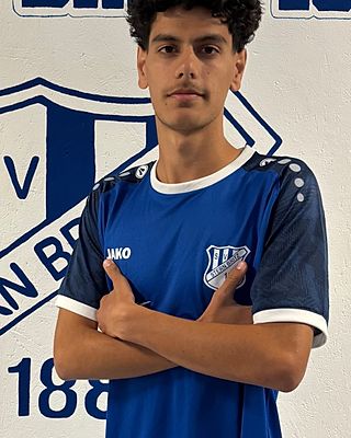 Mohammad Ramin Rasouli