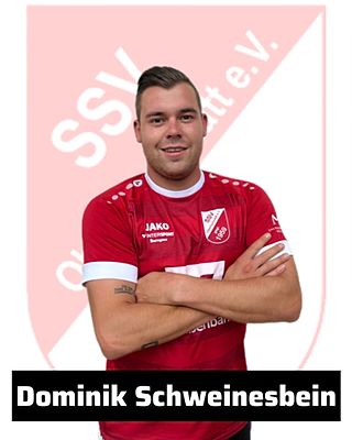 Dominik Schweinesbein