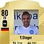 Yannick Steger
