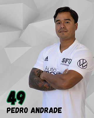 Pedro Antonio Andrade