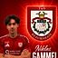 Niklas Gammel