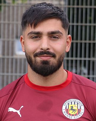 Mehmet Anil Celik