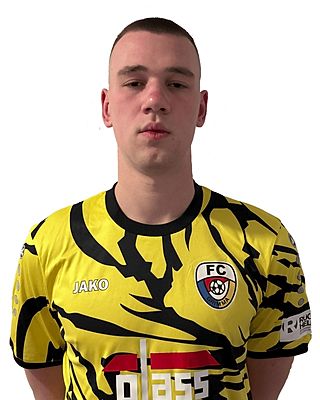 Artem Tsarenko