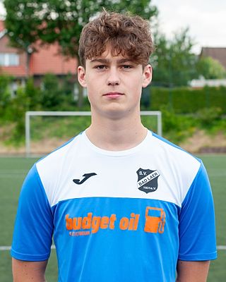 Julius Henry Erick Micheel