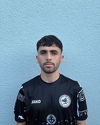 Mohammad Ramin Hatami