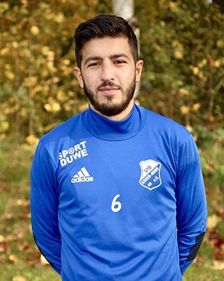 Sayed Sahand Mousavi Natanzy