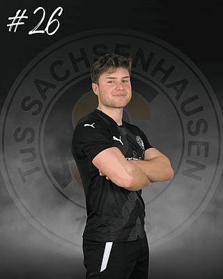 Hannes Leander Schlinke