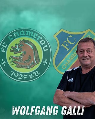 Wolfgang Galli