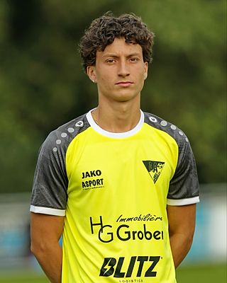 José Soares Ribeiro