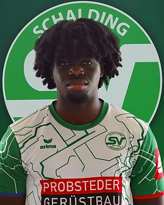 Godwin Omoaregba