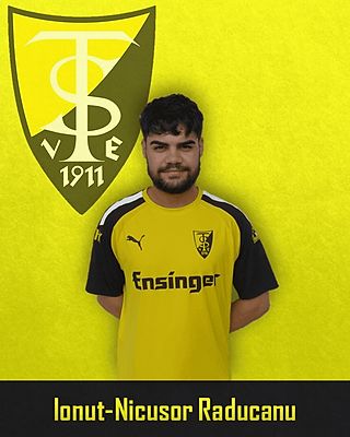 Ionut-Nicusor Raducanu