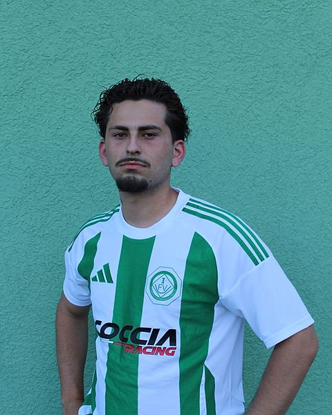 Foto: Scheer