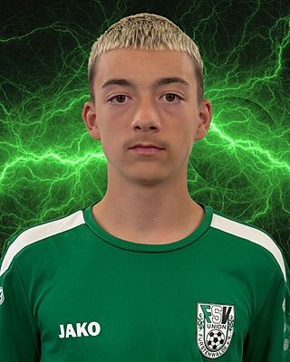 Tristan Anis Riemer
