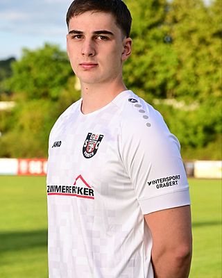 Henrik Sandholzer