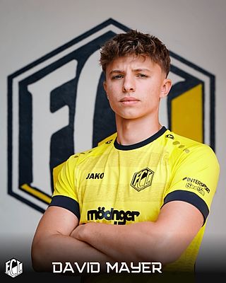 David Mayer