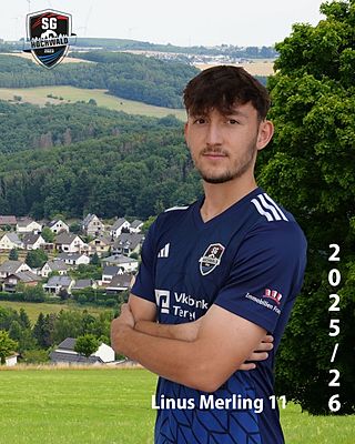 Linus Merling