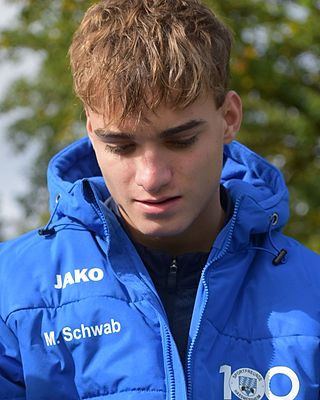 Miron Schwab