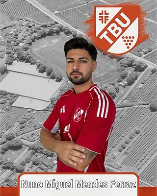 Nuno Miguel Mendes Ferraz