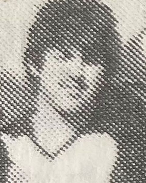 Foto: FC Preußen.de