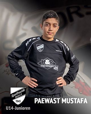 Paewast Mustafa